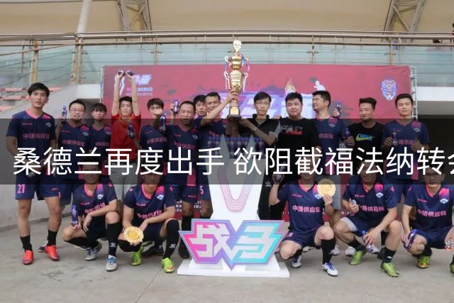 桑德兰再度出手 欲阻截福法纳转会水晶宫